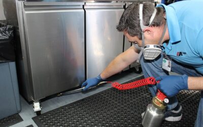 What Is Pest Control